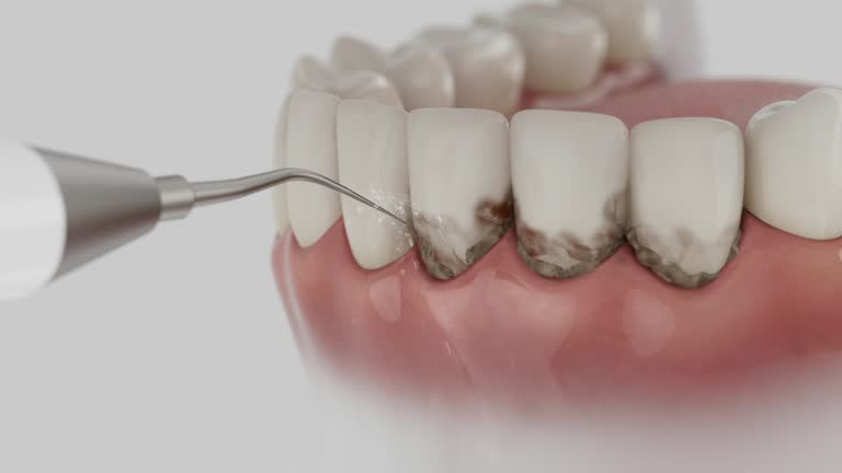 Reliable Dental contractor in Camden, AL by Dentist Open Now